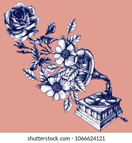 Illustration of a vintage gramophone with roses. Hand drawn vector retro phonograph for your nostalgic and symbolic design style.
