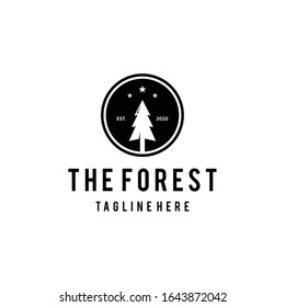 Illustration Vintage nature Evergreen, Pines, Spruce, Cedar trees logo design