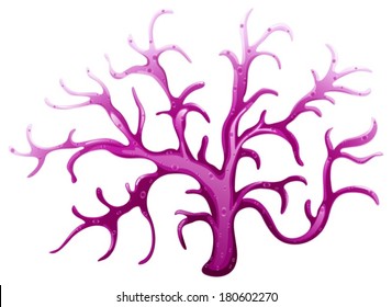 Illustration of a violet coral reef on a white background