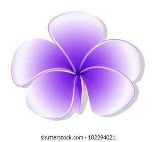 Illustration of a violet flower on a white background