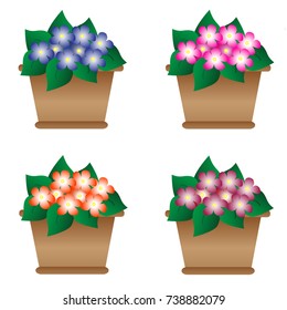 Illustration of violets in pot. Flat design, vector illustration.