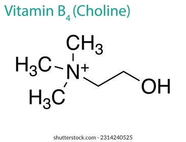 An illustration of a Vitamin B4 molecule isolated on a white background