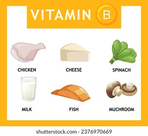 Illustration of vitamin B-rich foods in a cartoon style