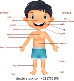 Illustration of vocabulary part of body