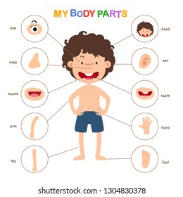 illustration of vocabulary part of body vector