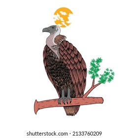 A Illustration The Vulture Logo