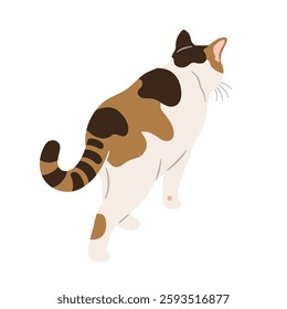 Illustration of a walking calico cat