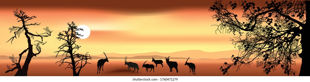 illustration with walking goats at sunset