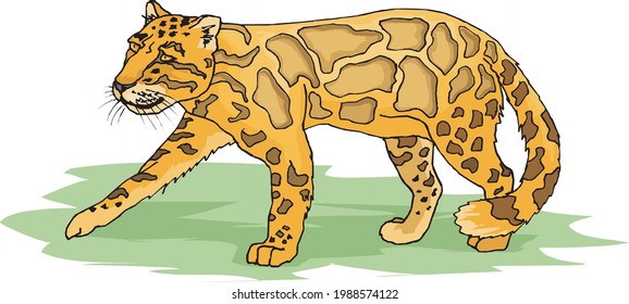 illustration of walking leopard with big patterns