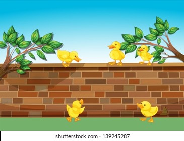 Illustration wall and five ducklings