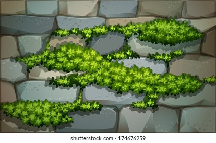 Illustration of a wall with plants