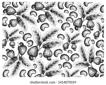 Illustration Wallpaper Background of Hand Drawn Sketch Fresh Cashew Nut on A Branch with Roasted Cashew Nuts, Good Source of Dietary Fiber, Vitamins and Minerals.