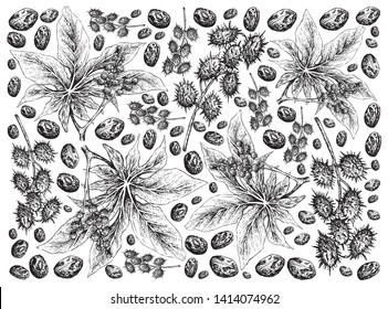 Illustration Wallpaper of Hand Drawn Sketch of Castor Beans or Ricinus Communis Background. The Highest Amounts of Triglycerides and Ricinolein of Seed Oils.