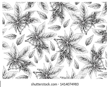 Illustration Wallpaper of Hand Drawn Sketch of Castor Beans or Ricinus Communis Background. The Highest Amounts of Triglycerides and Ricinolein of Seed Oils.