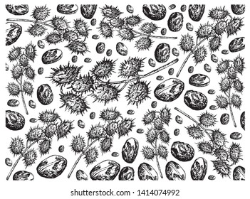 Illustration Wallpaper of Hand Drawn Sketch of Castor Beans or Ricinus Communis Background. The Highest Amounts of Triglycerides and Ricinolein of Seed Oils.