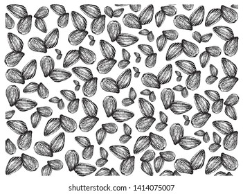 Hand Drawn Seamless Pattern Pistachios Vector Stock Vector (Royalty ...