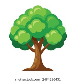 Illustration of Walnut tree Isolated