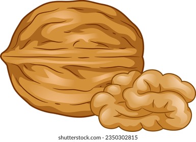 Illustration of Walnuts, One with Shell