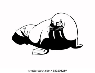 Illustration of the walrus.