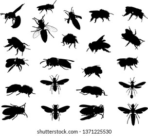 illustration with wasp and bee silhouettes collection isolated on white background