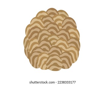 Illustration of a wasp nest.