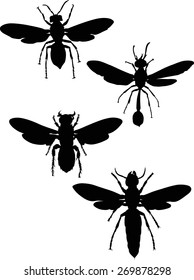 illustration with wasp silhouettes collection isolated on white background