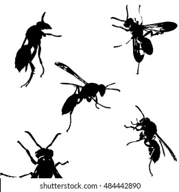 illustration with wasp silhouettes collection isolated on white background