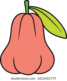 Illustration of water apple with a green leaf