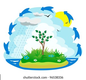 Illustration of the water cycle