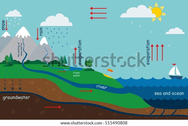 illustration of the water\
cycle in nature