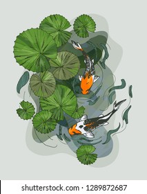 Illustration of water lilies leaves ans flowers and koi carp