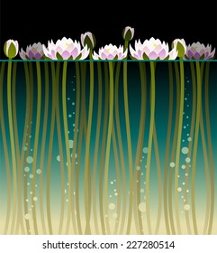 Illustration of water lily with water and bubbles