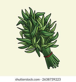 Illustration of a water spinach bundle