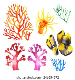 Illustration Of The Watercolor Coral Reefs On A White Background. Vector Illustration