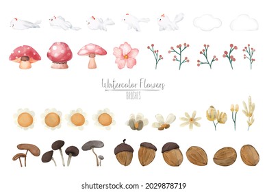 ILLUSTRATION WATERCOLOR MUSHROOM ,WALNUT , LEAF AND NATURAL WILD HAND DRAWN SET