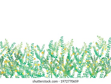 Illustration of watercolor plants on white background
