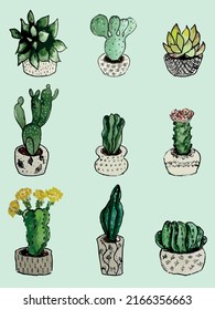 illustration of watercolor set of green, yellow cactus in clay pots, sticker