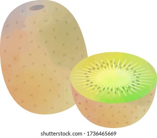 Illustration of watercolor touch of kiwi fruit.