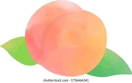 Illustration of watercolor touch of peach.