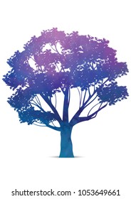 Illustration watercolor in the tree