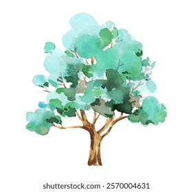 Illustration of a watercolor tree with a green canopy