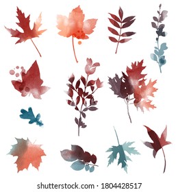 Illustration Of Watercolor Vector Autumn Leaves