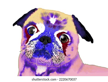 Illustration in watercolour style shows the face of a small pug dog. Bright colours and big eyes. The head is tilted. Vector file.
