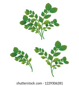 Watercress Images, Stock Photos & Vectors | Shutterstock