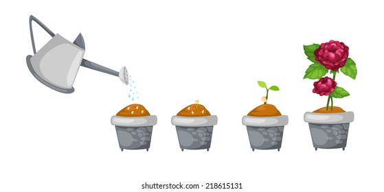 illustration of watering can with rose life cycle vector