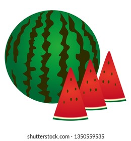 Illustration of the watermelon