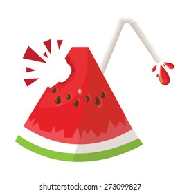 illustration. watermelon on white background.