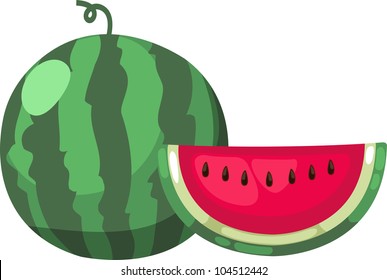 illustration watermelon vector file on White background