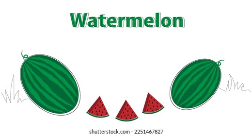 illustration of watermelon in white background