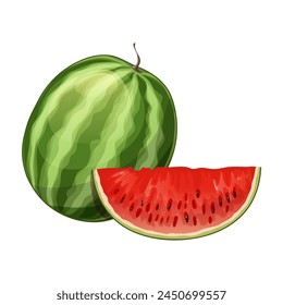 Illustration of watermelon, whole and sliced, vector illustration isolated on white background, eps10